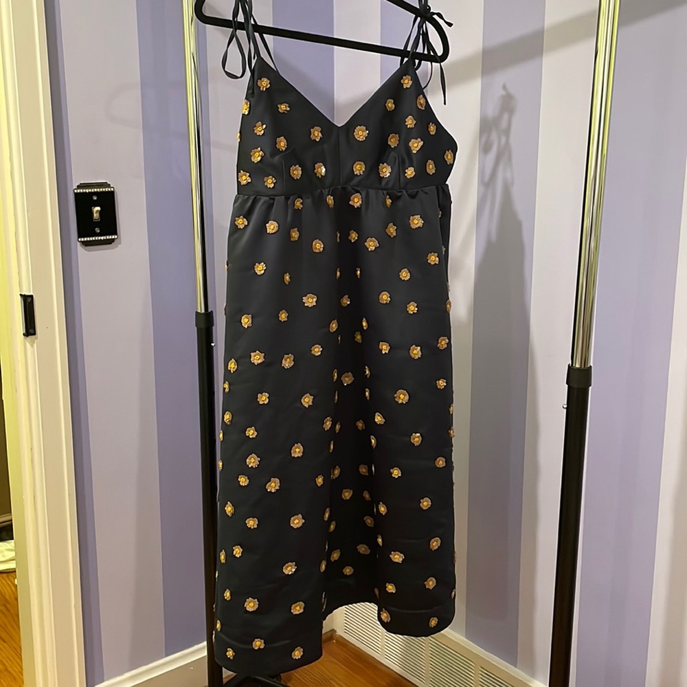 Beautiful beaded Anthropologie dress. NWT!!